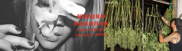 дурь Балахна