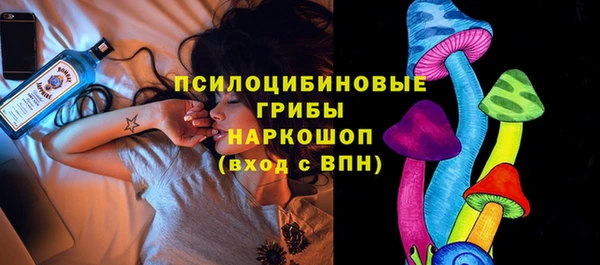 дурь Балахна