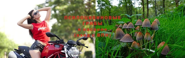 марихуана Беломорск