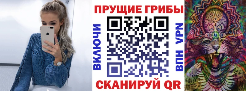 Псилоцибиновые грибы мицелий  где найти наркотики  Горняк 